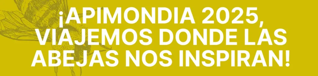 apimodia 2025