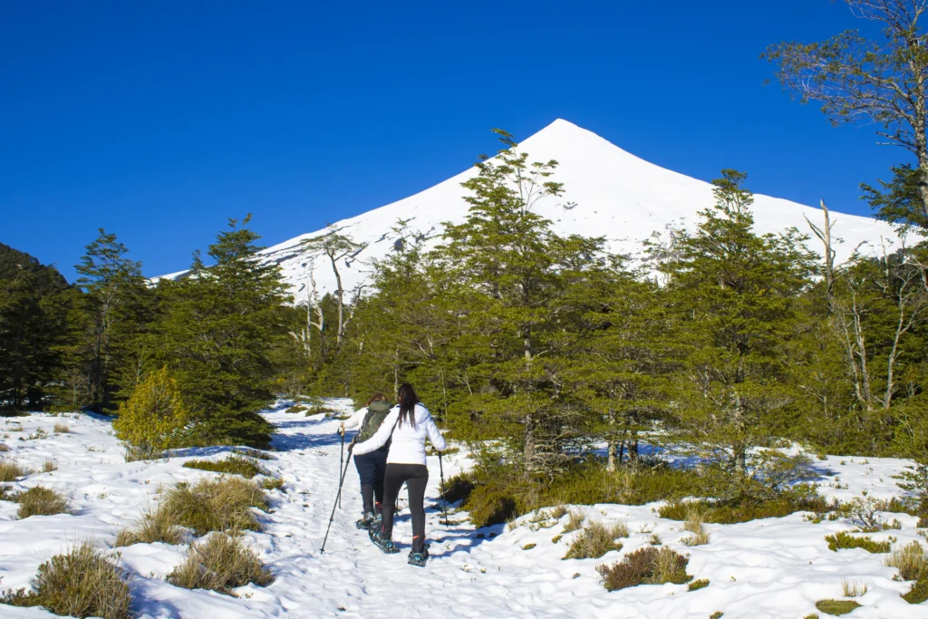 Trekking Desolacion 1