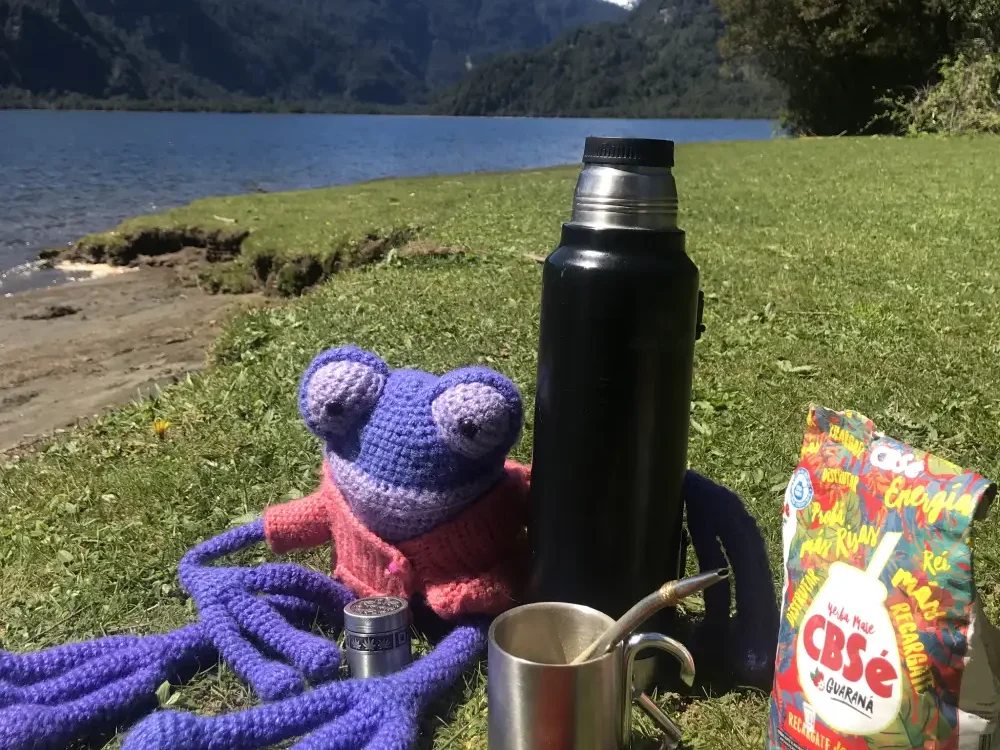 Chacha la rana viajera junto a objetos de viaje frente a un lago y montañas